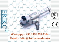 ERIKC 0445110631 Diesel Big Auto Injectors 0 445 110 631 Bosch Fuel Pump Injection 0445 110 631 for Jiang ling