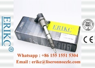 ERIKC 0445110766 Bosch Auto Spare Part Injector 0 445 110 766 Common Rail Fuel Injection 0445 110 766