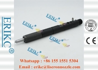Common Rail Delphi Injectors Ejbr03001d Fuel Pump Dispenser Injector  Ejb R03001d