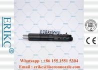EJBR01801Z Diesel Auto Delphi Common Rail Diesel Injectors 8200049873