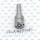 Fog Spray Nozzle DLLA 146P 2563 DLLA146P2563 Diesel Fuel Injector Nozzle DLLA 146P2563